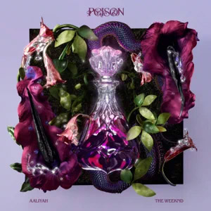 Disco Poison de Aaliyah