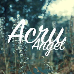Disco Ángel de Acru