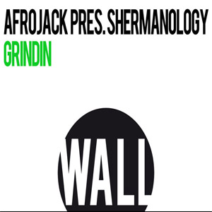 Disco Grindin de Afrojack