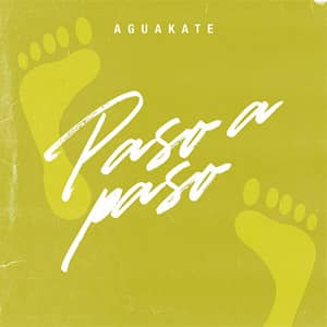 Disco Paso a Paso de Aguakate