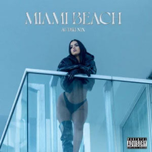 Disco Miami Beach de Audri Nix