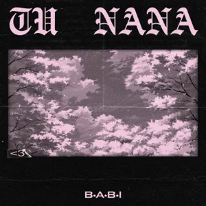 Disco Tu Nana de Babi