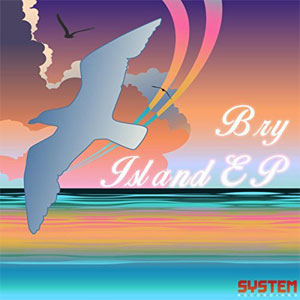 Disco Island de Bry