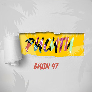 Disco Pucutu de Bulin 47