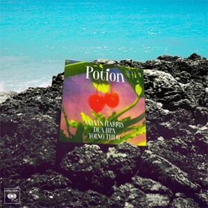 Disco Potion de Calvin Harris