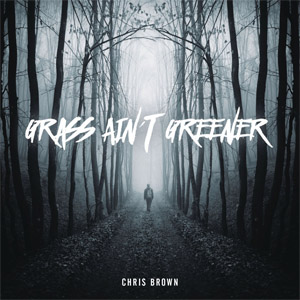 Disco Grass Ain't Greener de Chris Brown