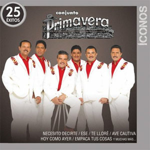 Disco Íconos 25 Éxitos de Conjunto Primavera
