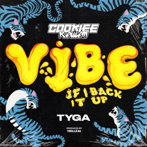 Disco Vibe (If I Back It Up) de Cookiee Kawaii