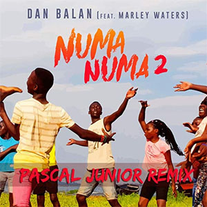 Disco Numa Numa 2 (Pascal Junior Remix) de Dan Balan