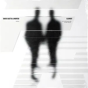 Disco Element de David Guetta