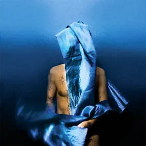 Disco Flying Wig de Devendra Banhart