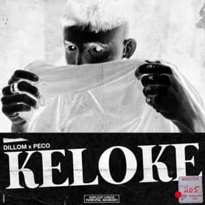 Disco Keloke de Dillom