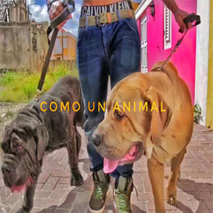 Disco Como un Animal de Enmeris