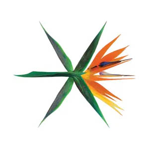 Disco The War  de Exo