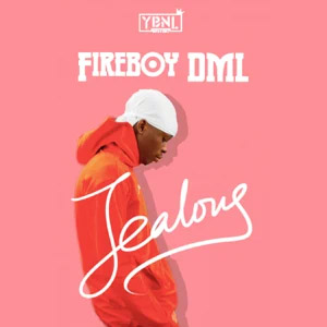 Disco Jealous de Fireboy DML