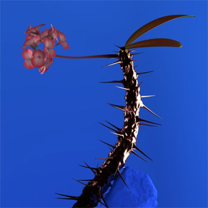 Disco Hyperreal  de Flume
