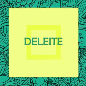 Disco Deleite de Flysinatra