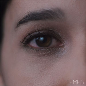 Disco Temes de iLe