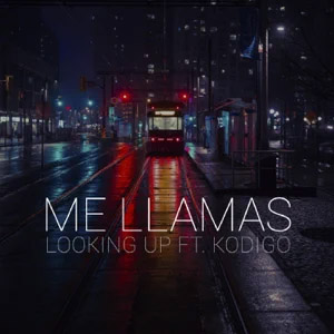 Disco Me Llamas de Looking Up