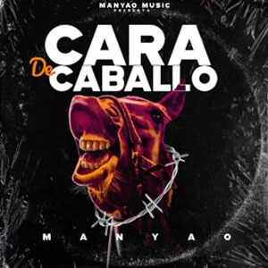 Disco Cara De Caballo de Manyao