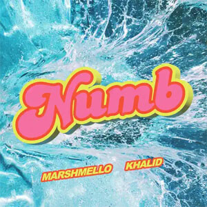 Disco Numb de Marshmello