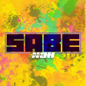 Disco Sabe de Nohemy