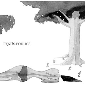 Disco Poetics de Pxndx