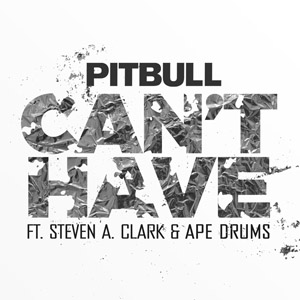 Disco Can't Have de Pitbull