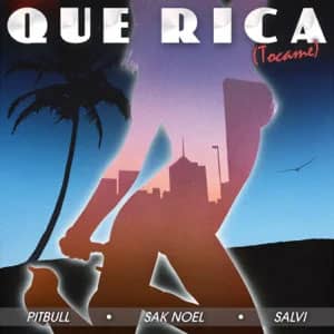 Disco Que Rica (Tócame) de Pitbull