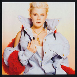 Disco Robyn de Robyn