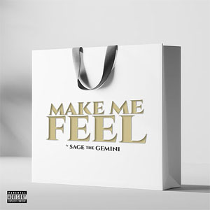 Disco Make Me Feel de Sage The Gemini