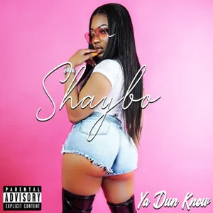 Disco Ya Dun Know de Shaybo
