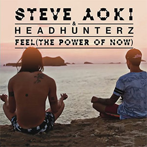 Disco Feel  de Steve Aoki