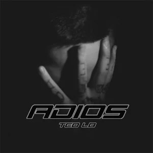 Disco Adiós de Teo LB