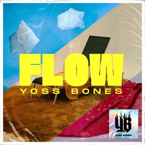 Disco Flow de Yoss Bones