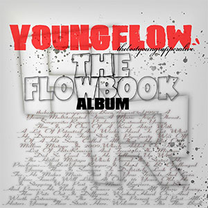 Disco The Flow Book de Young Flow