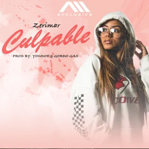 Disco Culpable de Zerimar